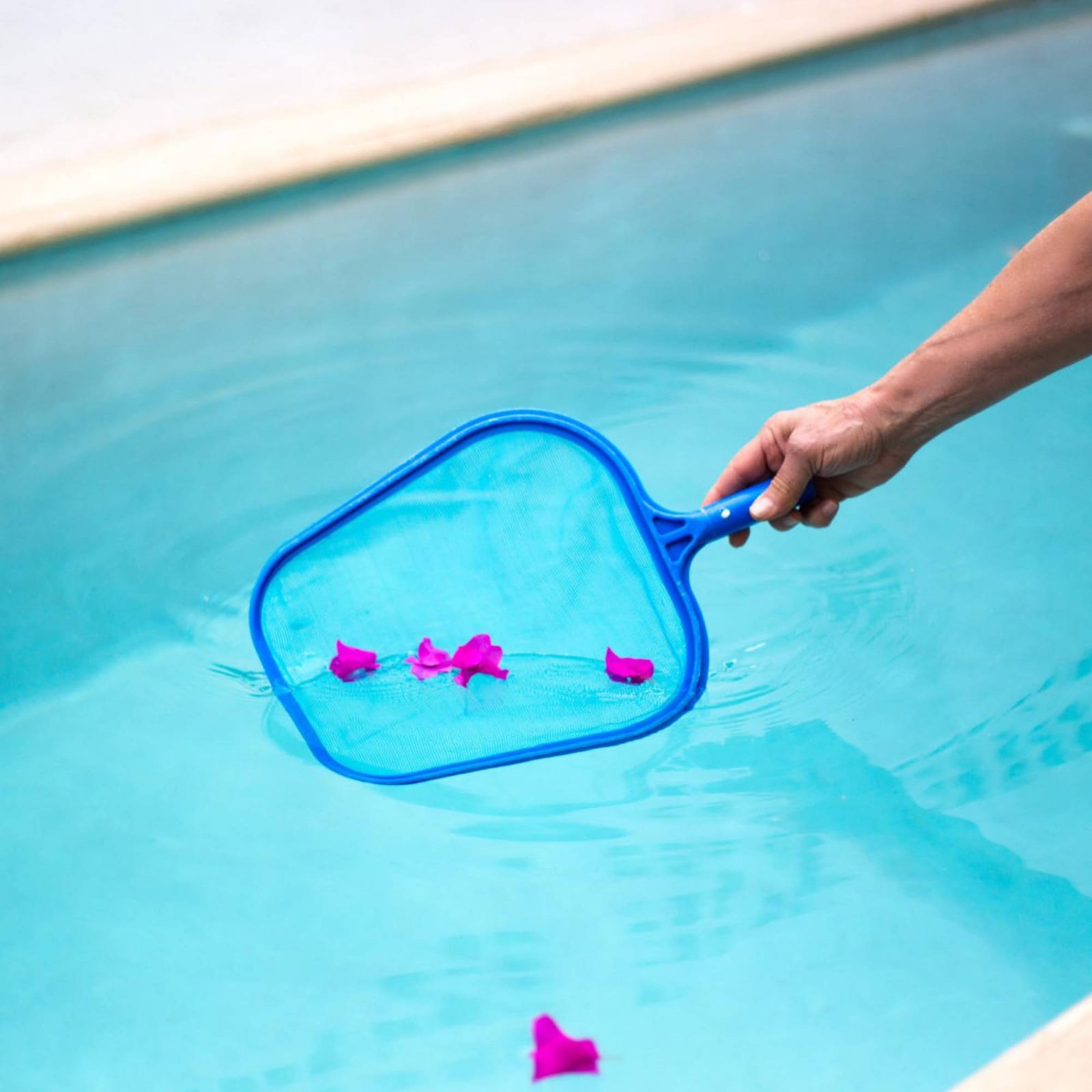 Rede de Folhas Removível para  - Pool Skimmer Net avaliação e preço